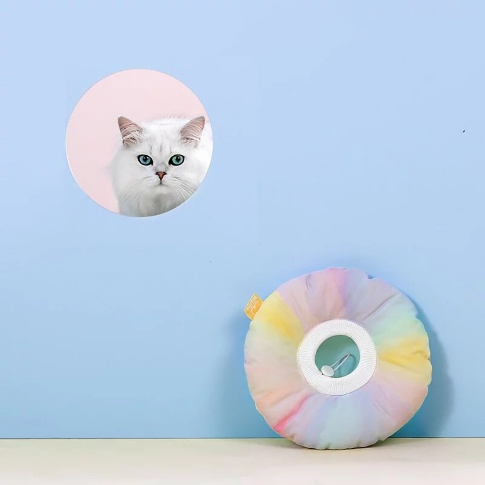 漸變色伊莉莎白圈 (三色)